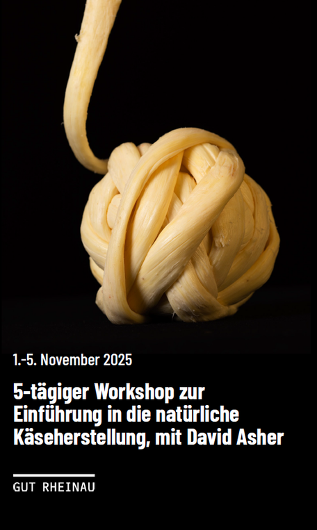 kaese workshop 1 2025