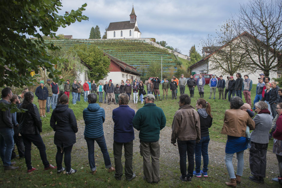 stiftung fintan morgenkreis
