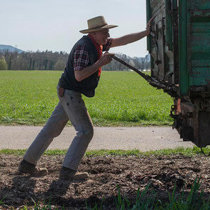 stellen-mitarbeit